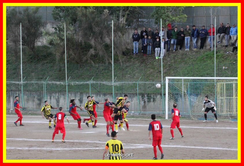 181111 Cepha_Milazzo 235_tn.JPG